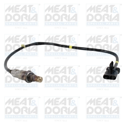 Oxygen Sensor